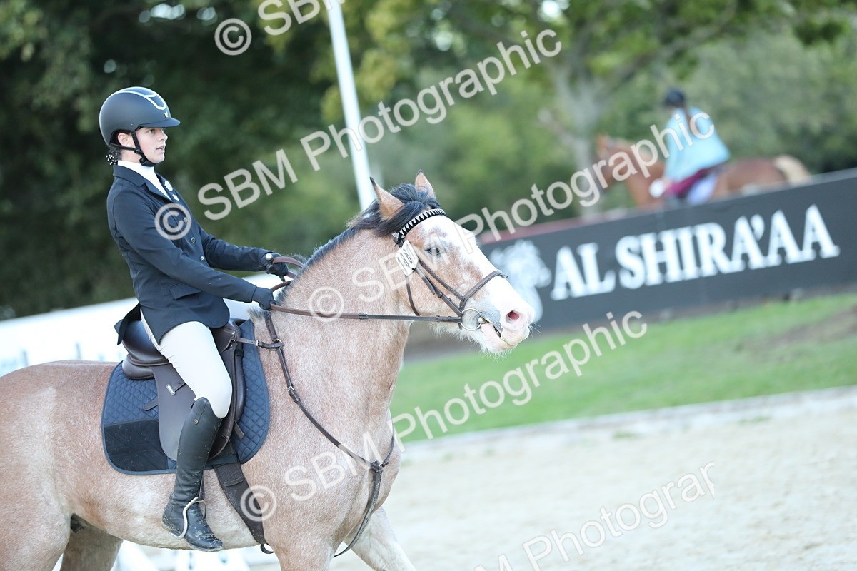 SBM_53678 - Supreme Championship 65cm 70cm