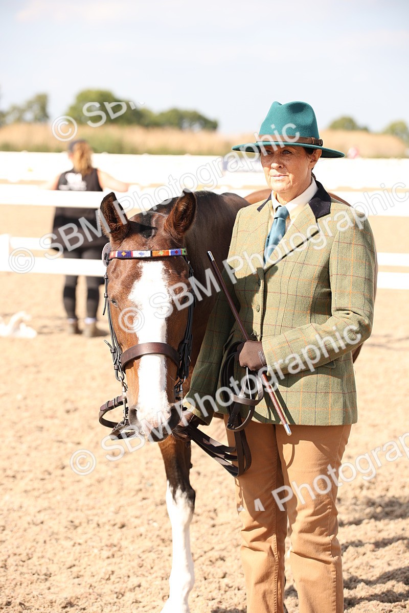 SBM_07420 - Class 26 IH Foreign Breeds -Part bred