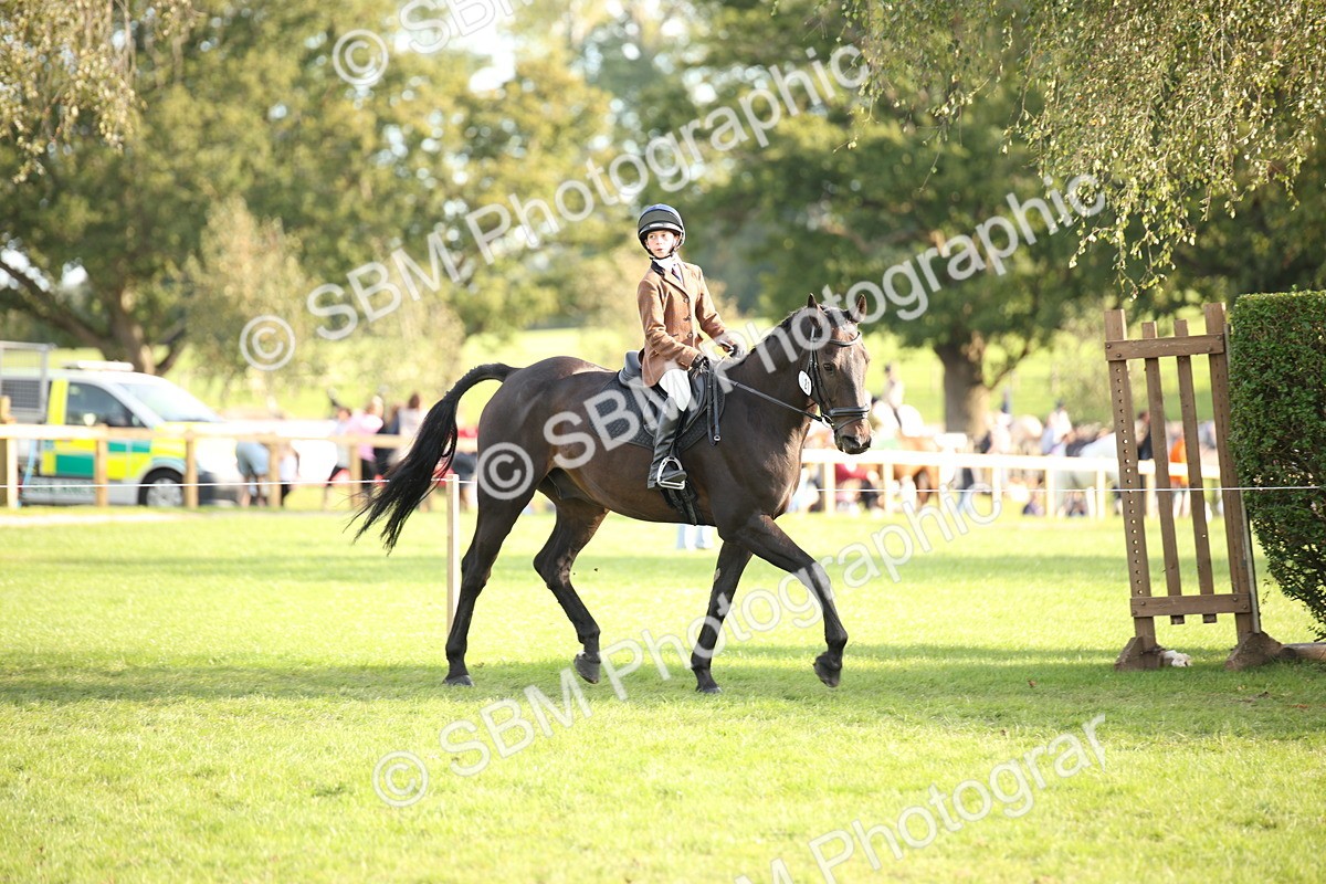 SBM_54303 - S27 - Mature Veteran - Ridden