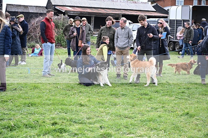 WJ6_8466 - Class 6 Best Rescue