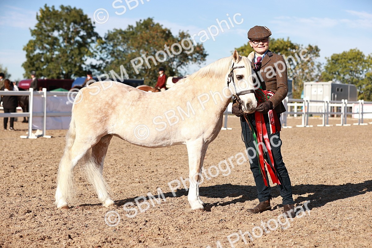SBM_11460 - Class 402 - IH  Veteran pony