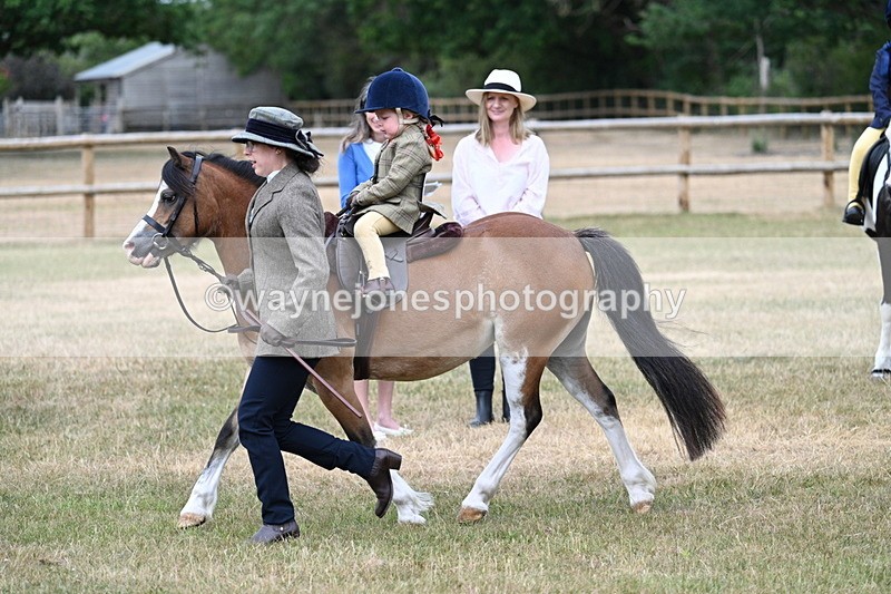 WJ7_9809 - Class 1 Lead Rein Pony
