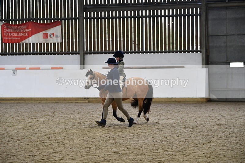 WJ5_6740 - Class 10 Childs Pony