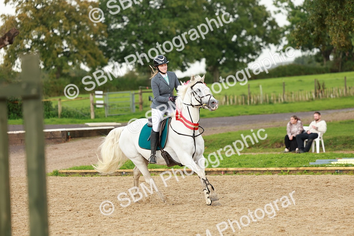 SBM_38515 - Supreme Championship 80cm 85cm