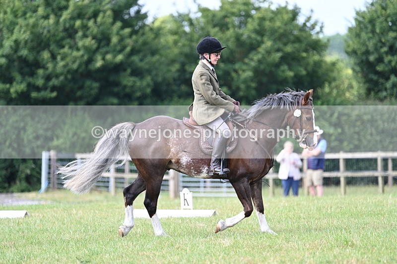 WJ7_1909 - Time 09:24 to 09:49