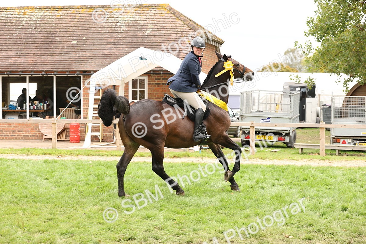 SBM_63056 - S64 - Foreign Breeds Ridden