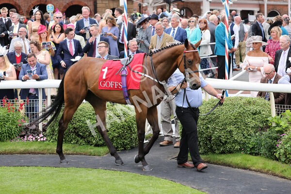 yr19082021r2-2 - Race 2 2.25pm Goffs UK Premier Yearling Stakes