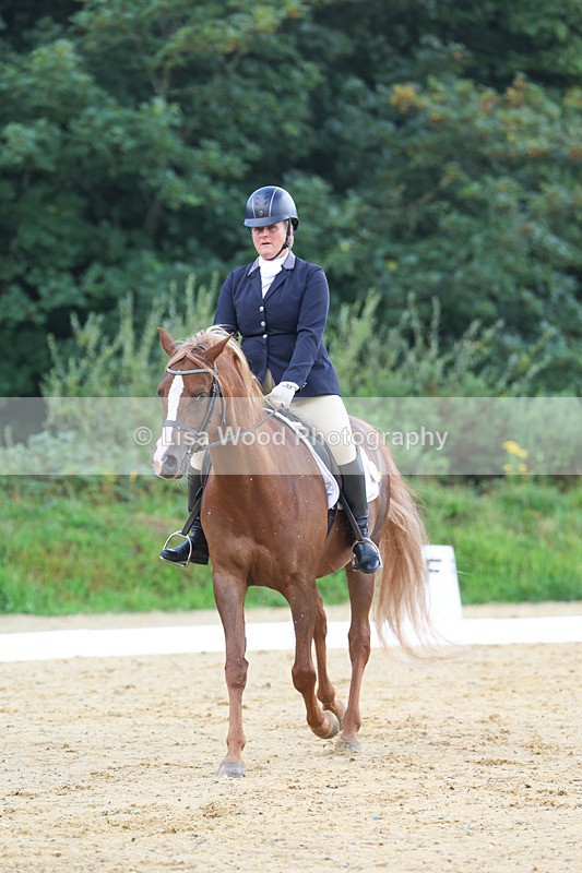 3E7A1938 - Class 1: Intro 4 2024 section A