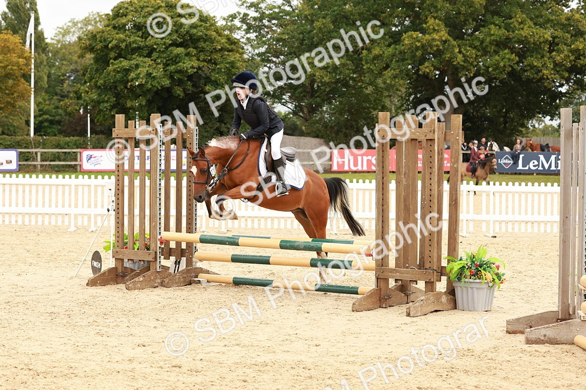 SBM_63611 - J12 - Junior Pony 55cm Championship
