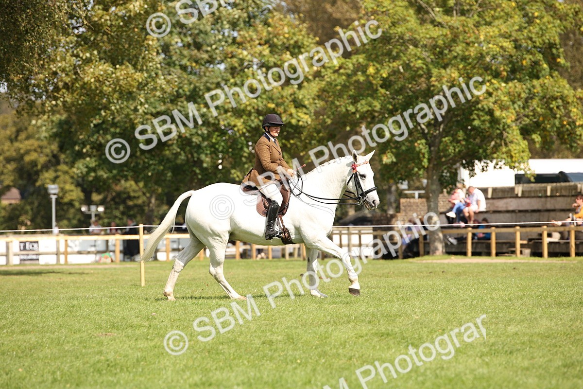 SBM_65965 - S64 - Riding Horse & Hack & Thoroughbred Ridden