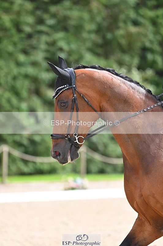 240809-143750-01402 - 197-Katherine.Carne-Calcourt.Romancier