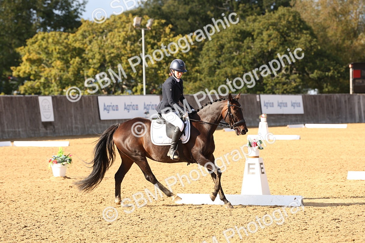 SBM_50501 - D12 - Small Tour Championship prelim 2