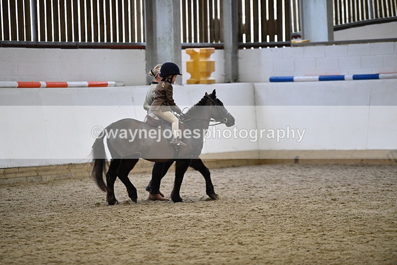 WJ5_6611 - Class 10 Childs Pony