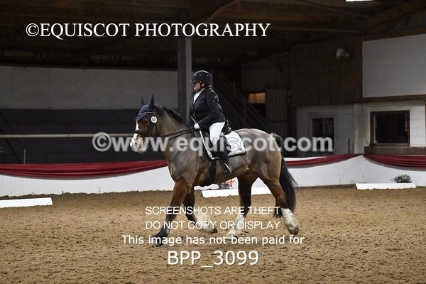 BPP_3099 - ELEM TEST 6