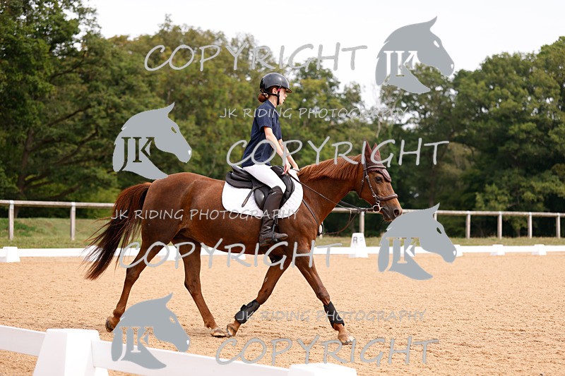 _R6A2529 - Dressage Morning