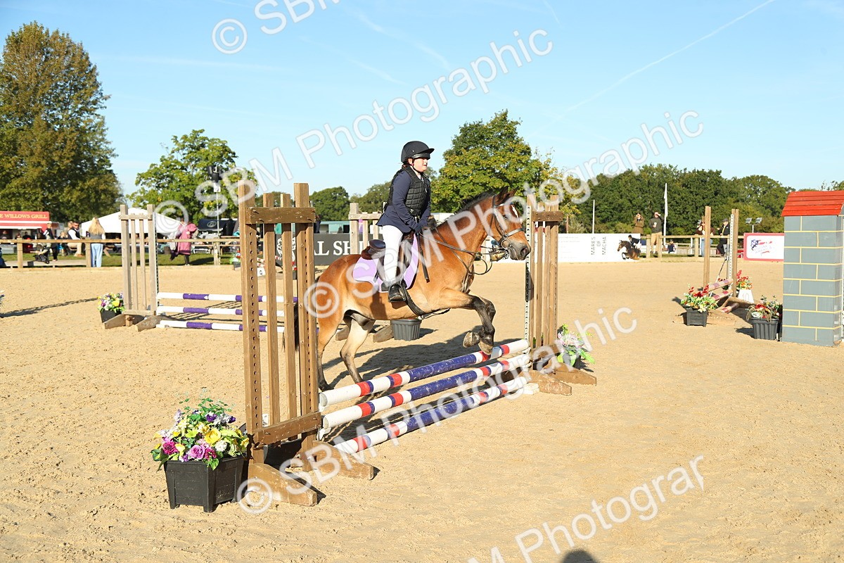 SBM_35010 - J5 - Junior Pony 50cm Championship