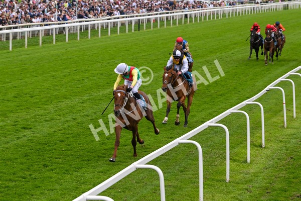 250524-Race 6-Primo Lara-4222 - Race 6 4.30pm Royal Yorkshire Regiment Handicap