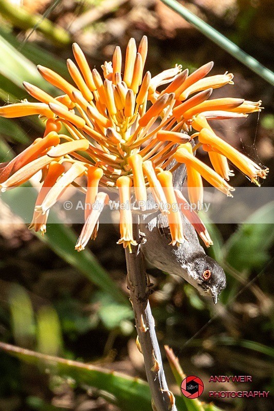 190515-untitled-8E0A2400 - Abroad