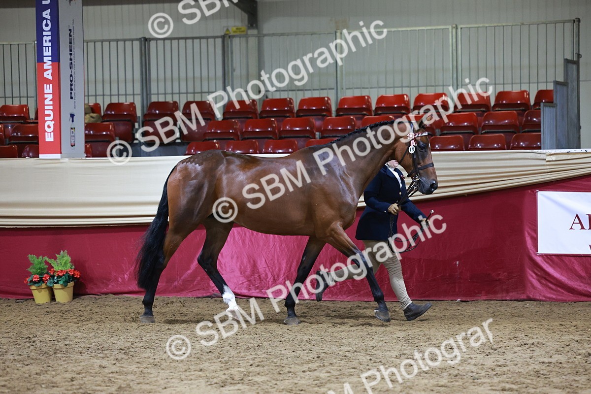 SBM_20319 - Class E - Best Turned Out Champ