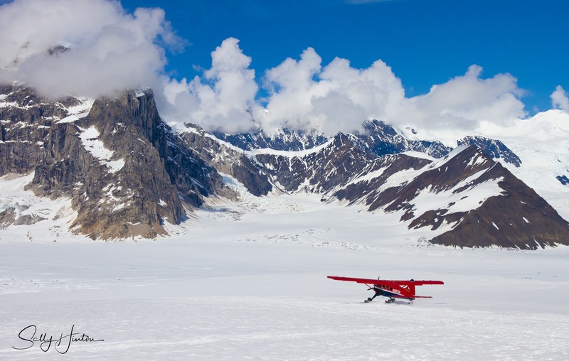 Alaskan Mountains in Summer 9