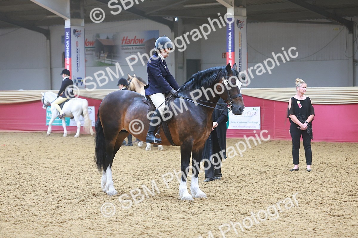 SBM_17753 - Class 952 - M&M Ridden Supreme Final