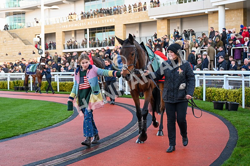 141224-Race 4-Guard Your Dreams-0666 - Race 4