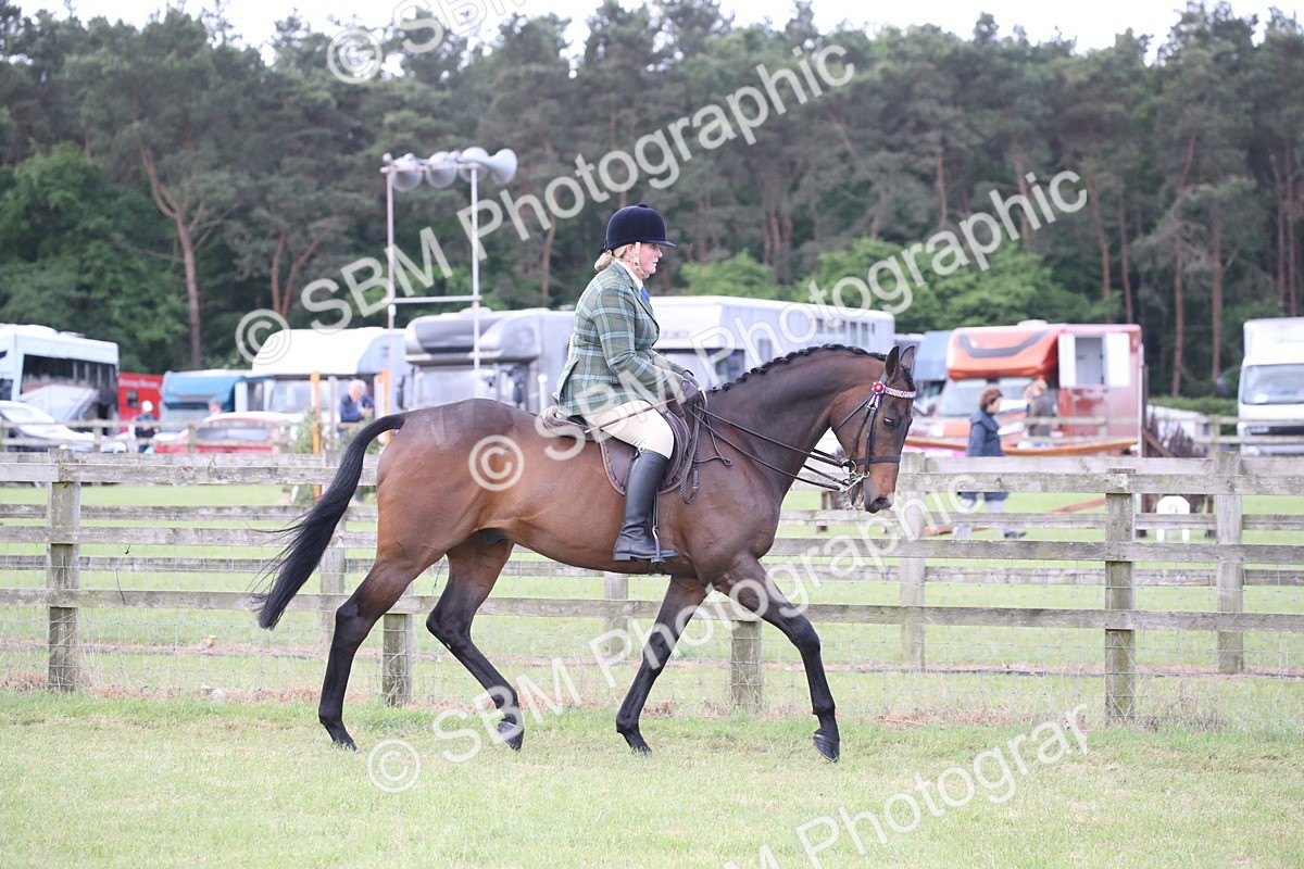 SBM_14143 - Class 113-114 - Retraining of Racehorses Ridden