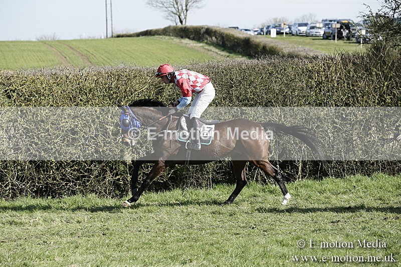 PtP 250317 199 - V.W.H. Hunt Point-to-Point Siddington 25/03/17