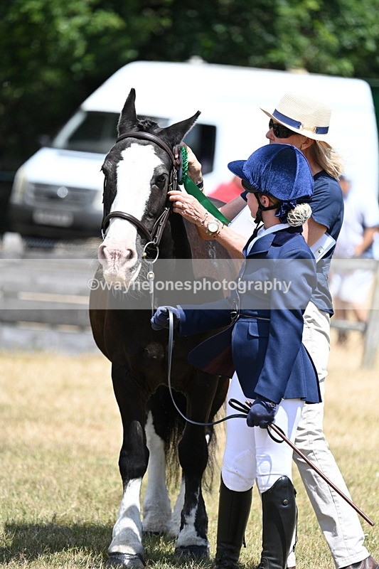 WJ7_2261 - Class 5 Most Handsome Gelding (up to 14.2hh) in hand