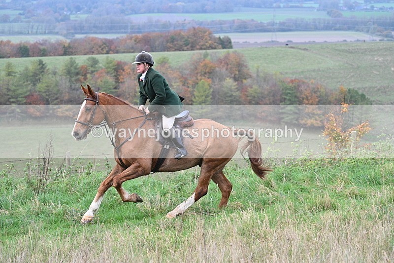 WJ7_9884 - Camera 1 & Last fence