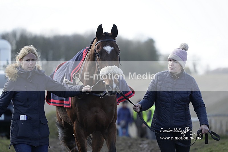 PtP 100423 685 - Old Berkshire Point-to-Point Lockinge 10/04/23