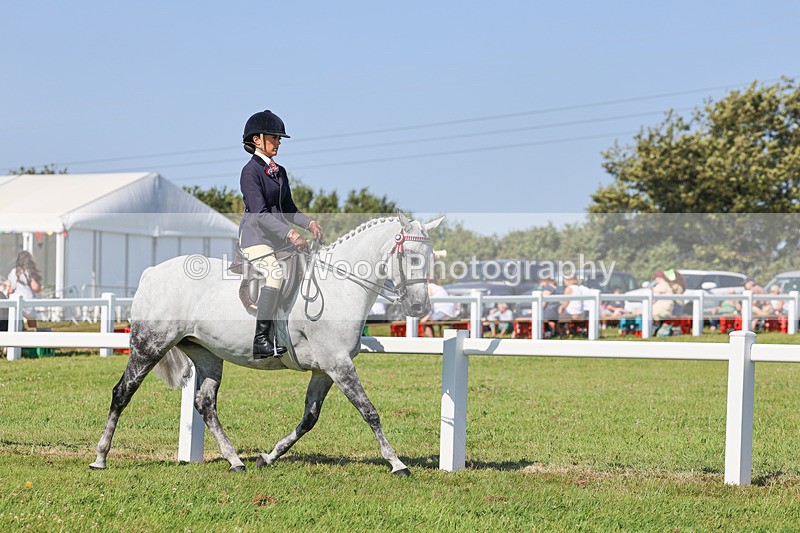 IMG_1875 - Class 33: Show Pony 148cm and under