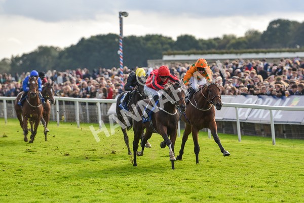 141023-Race 4-Colorada Dancer-1180 - Race 4 3.05pm Coral Racing Club EBF Maiden Stakes