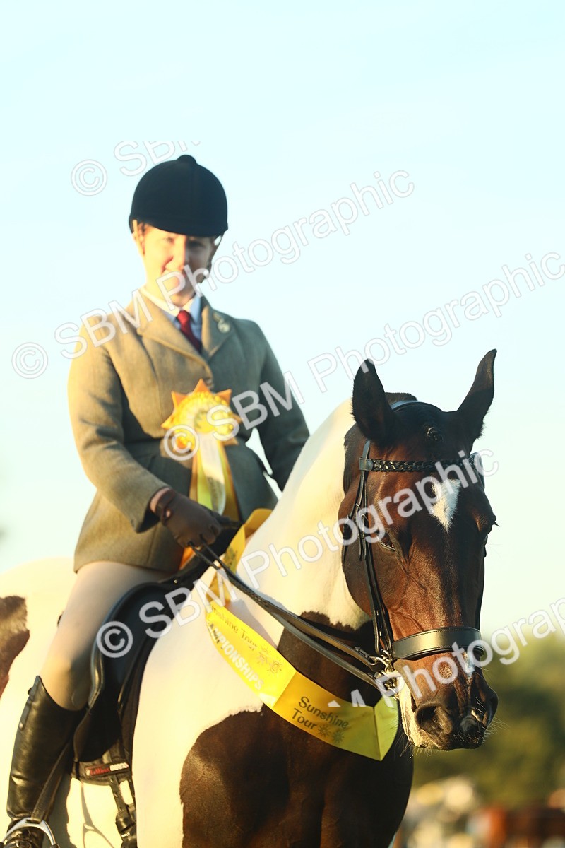 SBM_56530 - S14 - Riding Club Horse