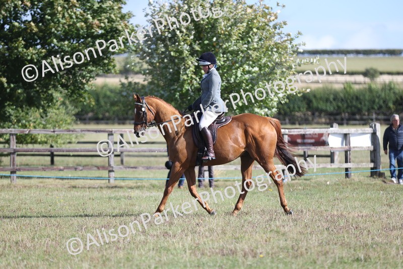 20250831-0894 - Class 14 - Ex Racehorse