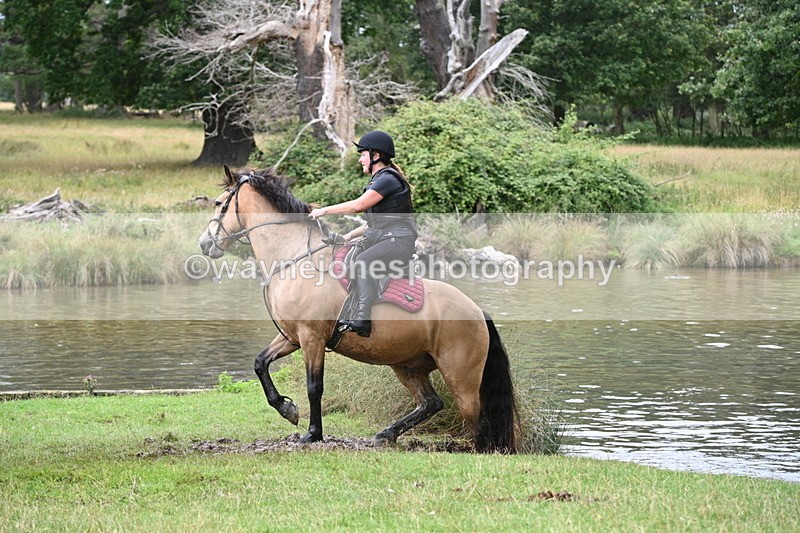 WJ7_2324 - Time at Water 11:14 to 11:36