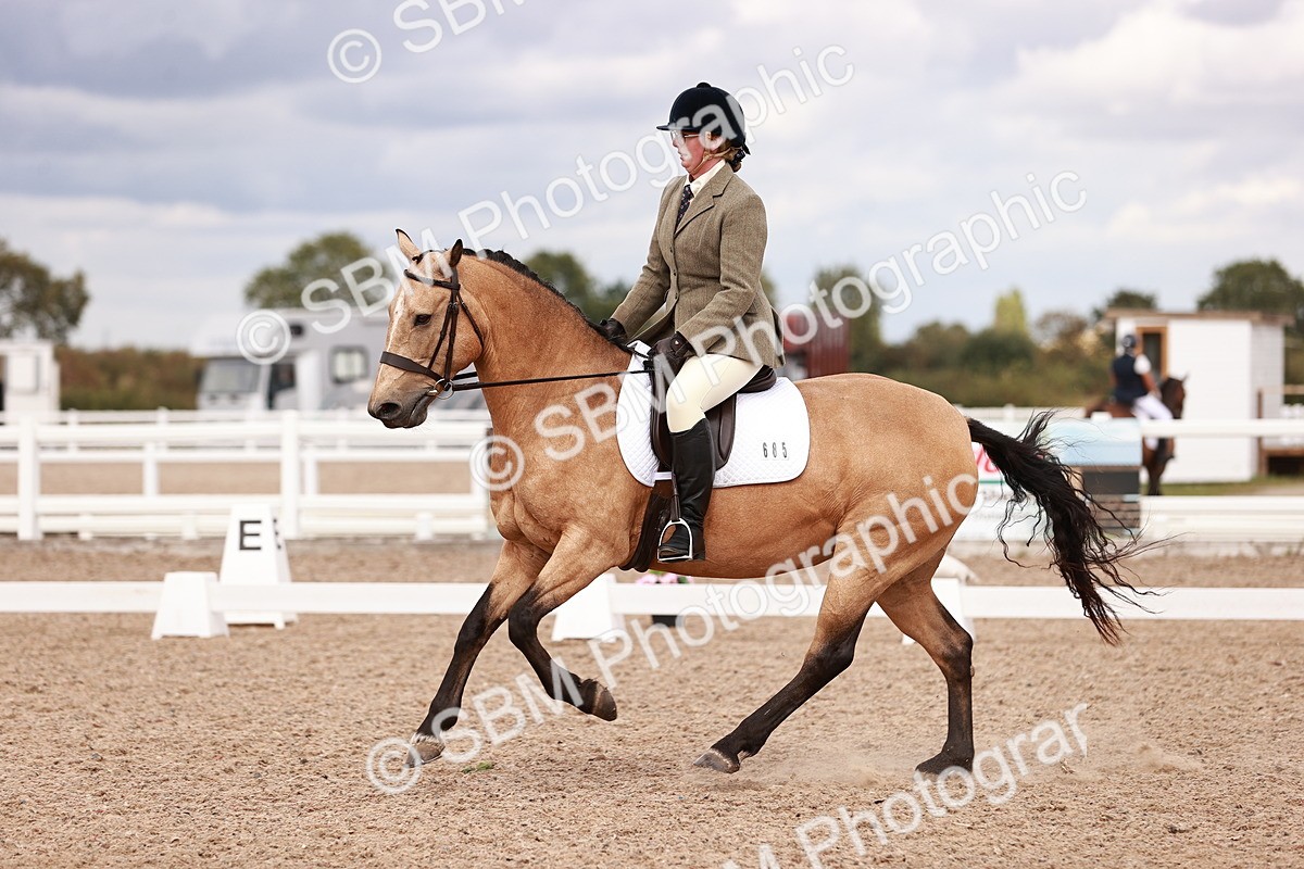 SBM_06339 - Class 37 - Novice 5