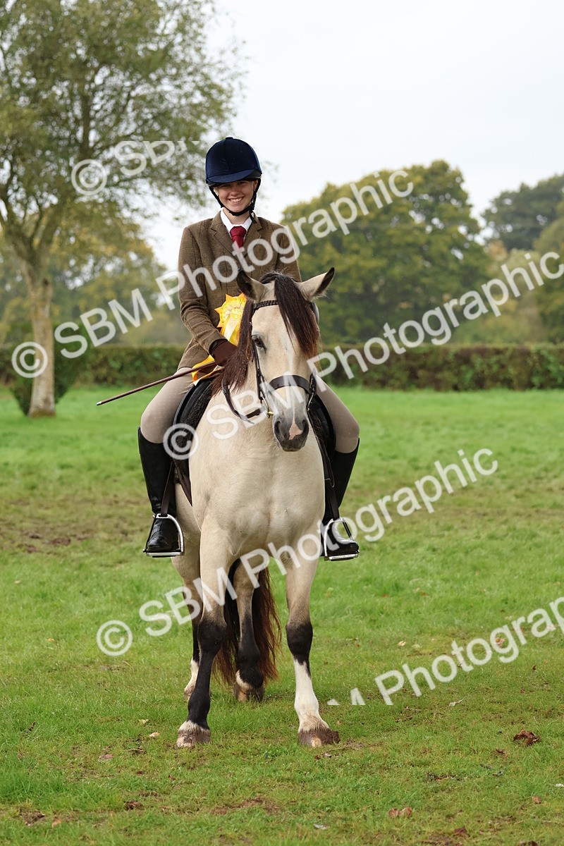 SBM_69755 - S62 - Mountain & Moorland Ridden Large Breeds
