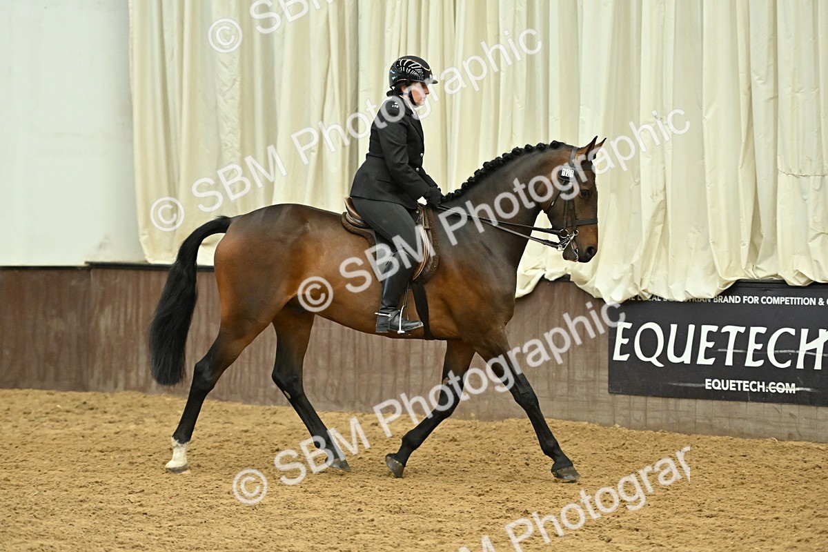 SBM_002051 - Class 23 - BSHA Ridden Show Hunter