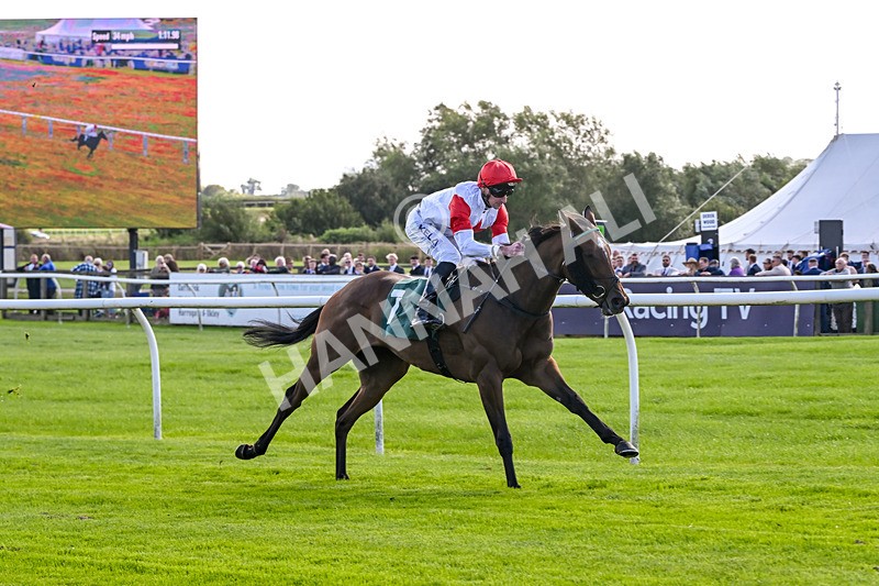 080926-Race 2-Queen Sana-1904 - Race 2 2.28pm Racing TV Club Day Restricted Maiden Stakes