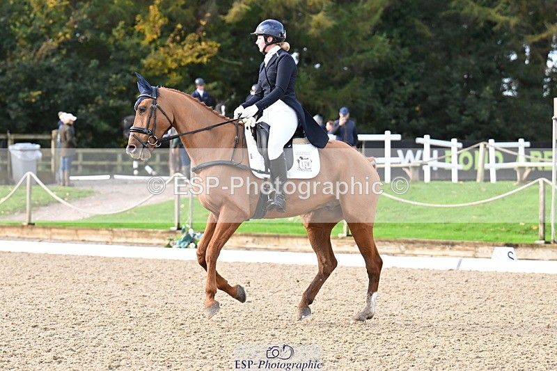 251023A-101827-01490 - B-128-Holly.Law