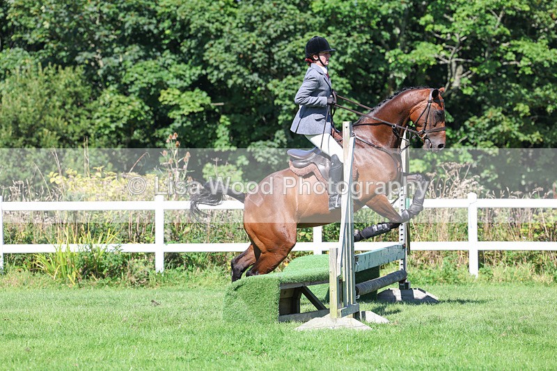 3E7A8301 - Class 4: Novice working Hunter