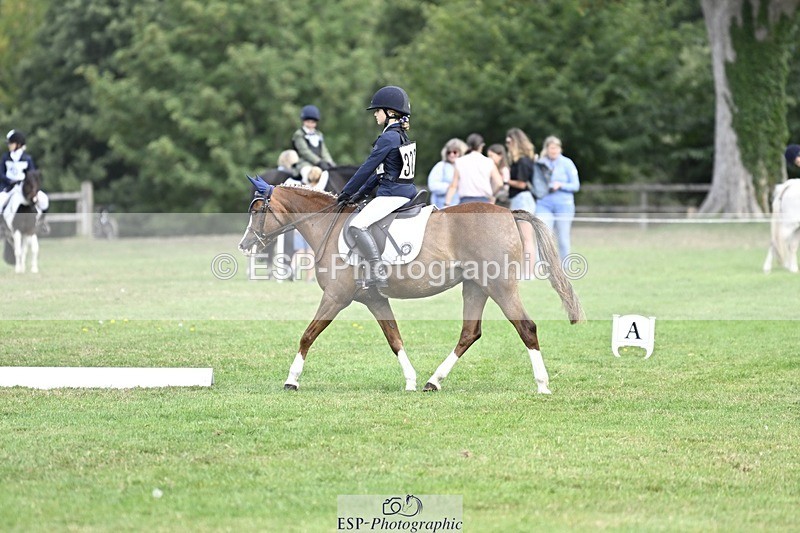 250821A-104203-14483 - DR 10.00 to 11.00