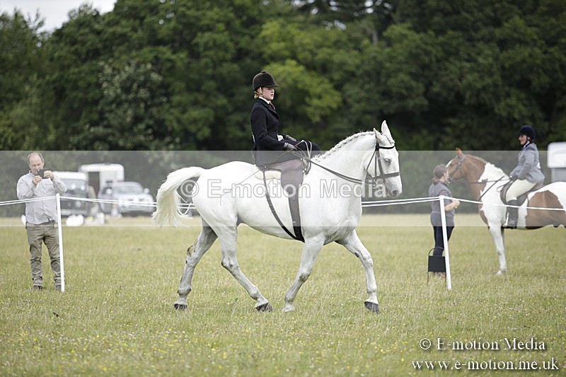 BVR160717-1956 - Side Saddle Classes 16/07/17
