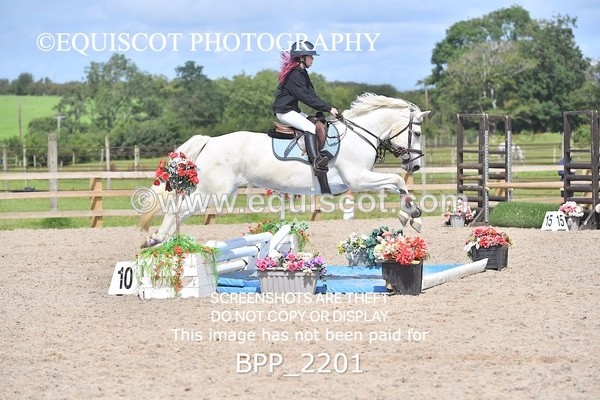 BPP_2201 - DERBY CLASS 6 - 70CM
