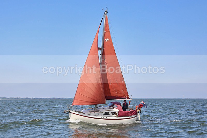 160529 GUINEVERE WT7A6744 - Sailboats - monohull