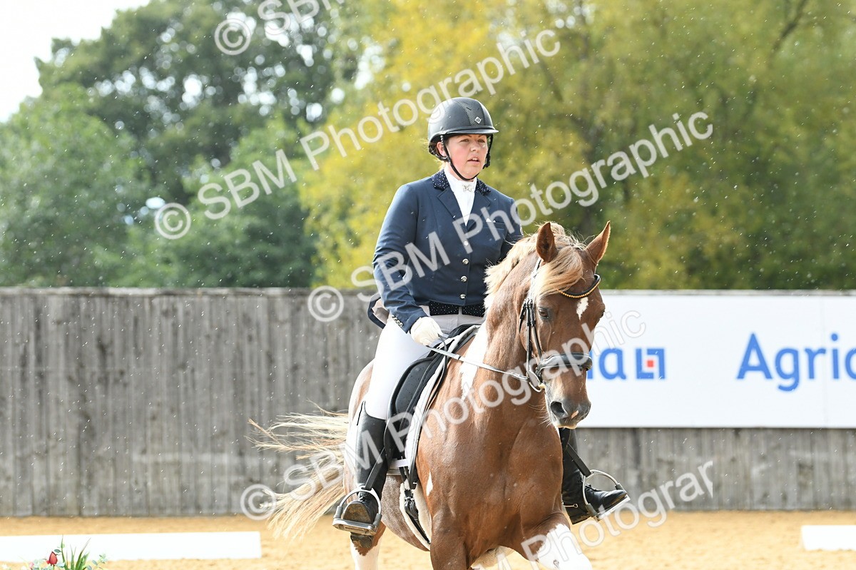 SBM_11078 - D28 Elementary Taster Elementary 42