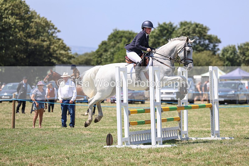 3E7A4408 - Class 10: Senior British Novice/90cm open