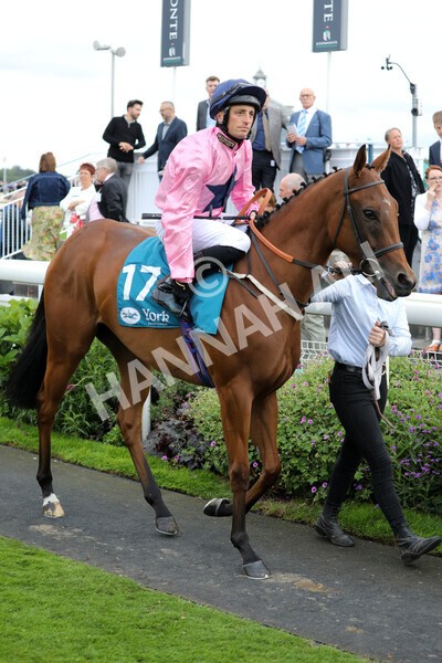 yr17082022r7-12 - Race 7 5.20pm Sky Bet Nursery Handicap