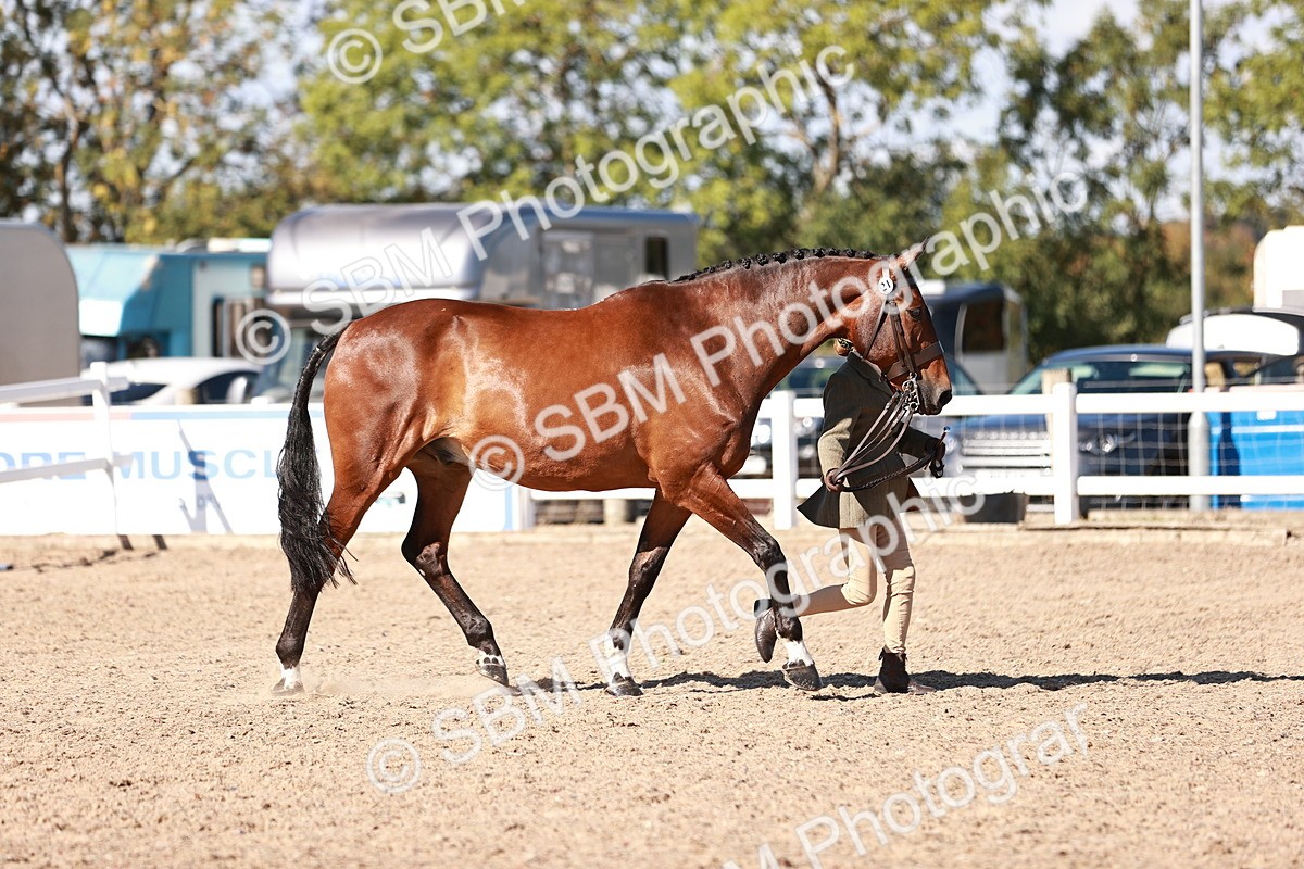 SBM_13293 - class 406 - IH Hunter